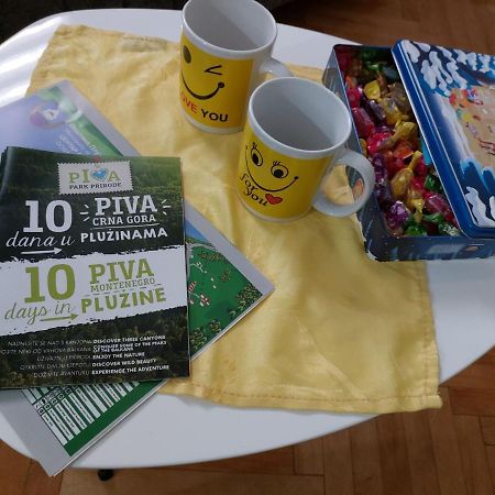 Apartman Pavle Plužine Exteriör bild