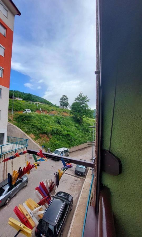 Apartman Pavle Plužine Exteriör bild