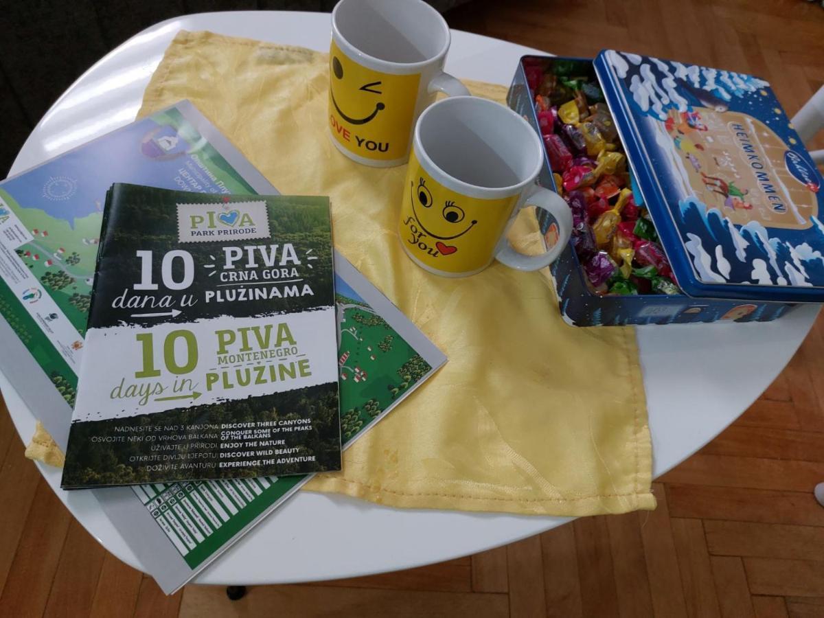 Apartman Pavle Plužine Exteriör bild