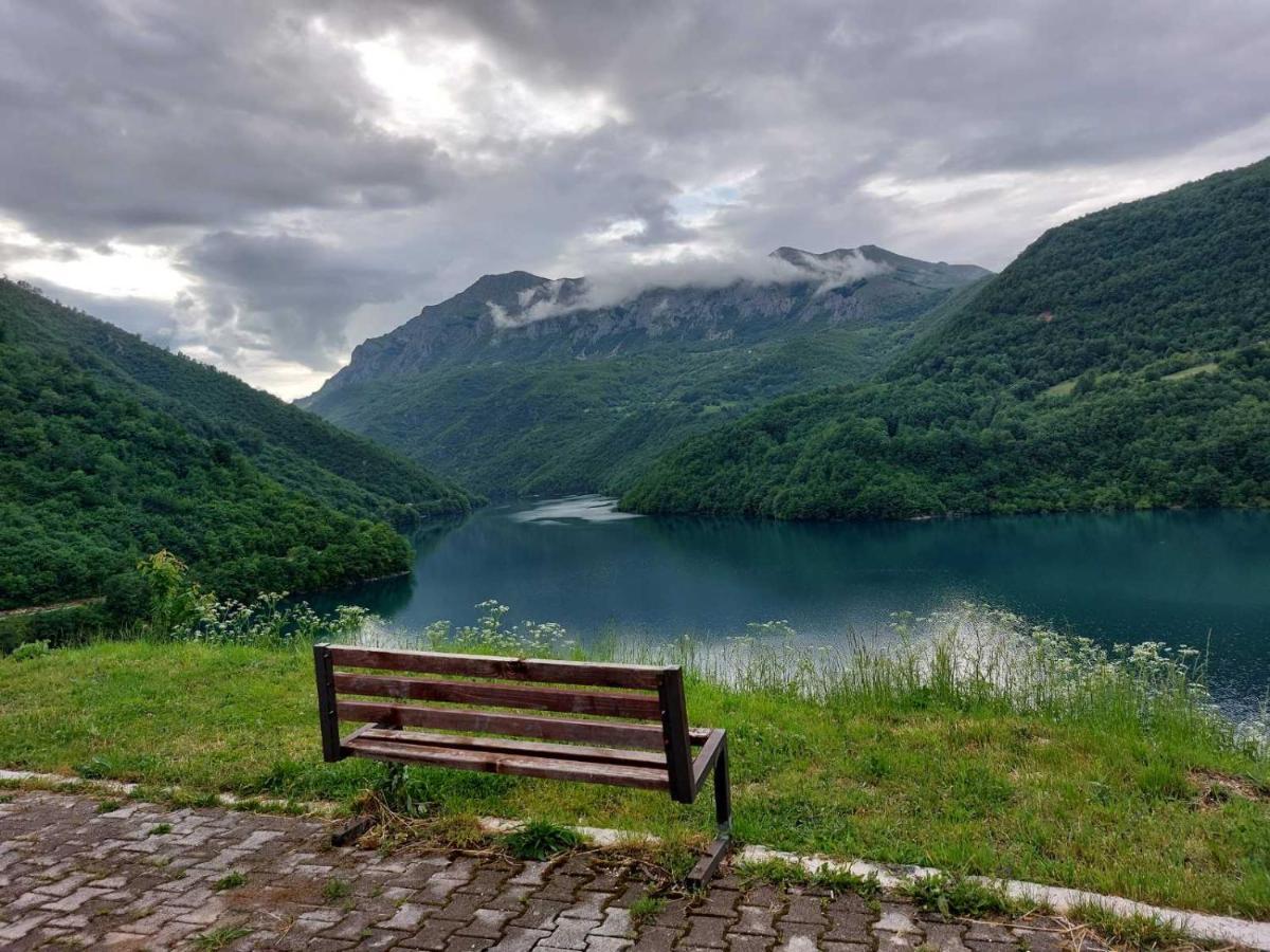 Apartman Pavle Plužine Exteriör bild