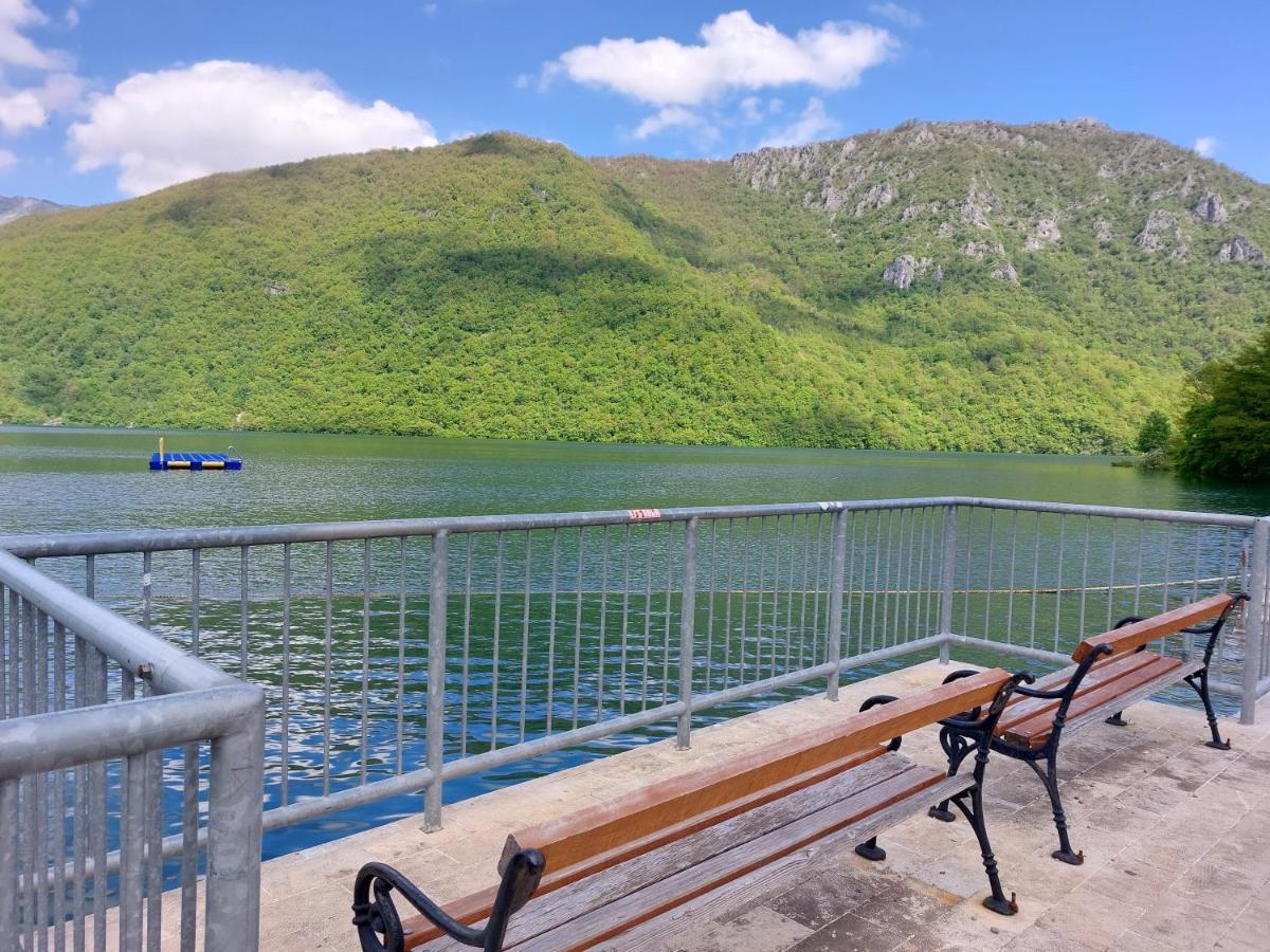 Apartman Pavle Plužine Exteriör bild