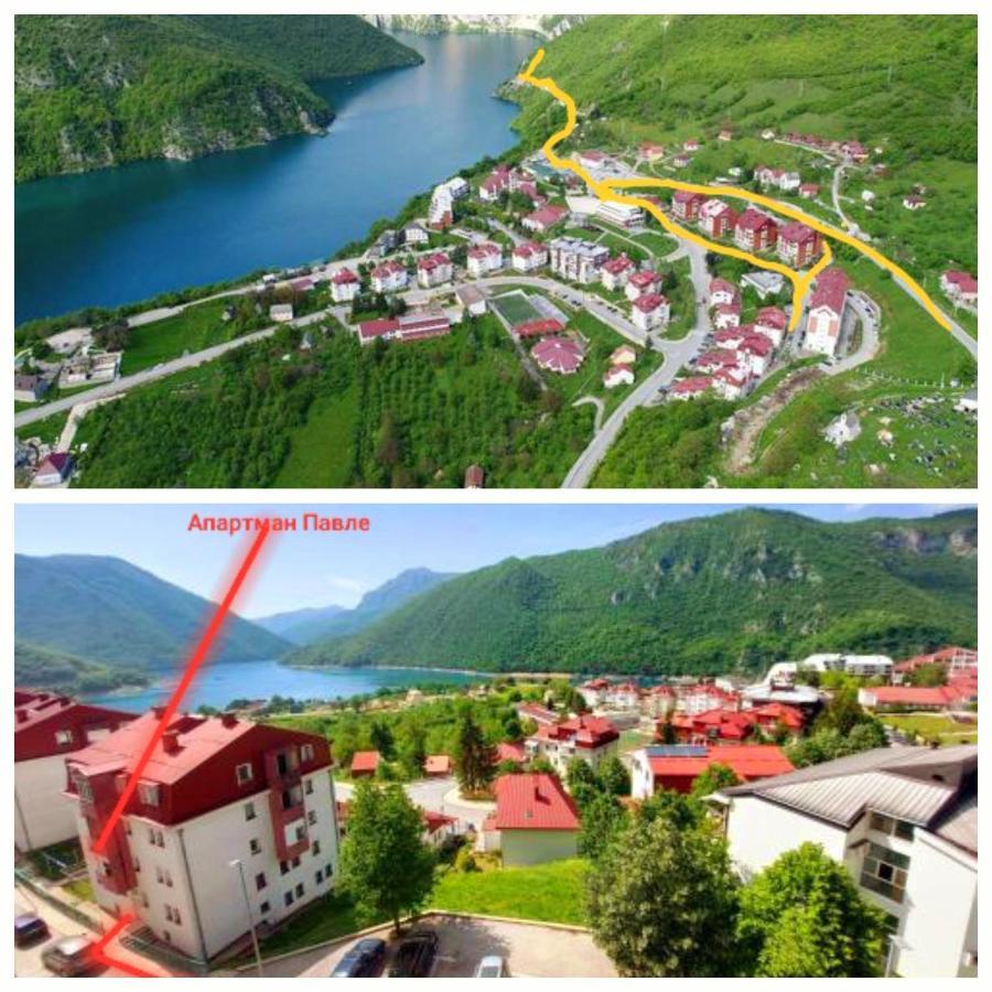 Apartman Pavle Plužine Exteriör bild