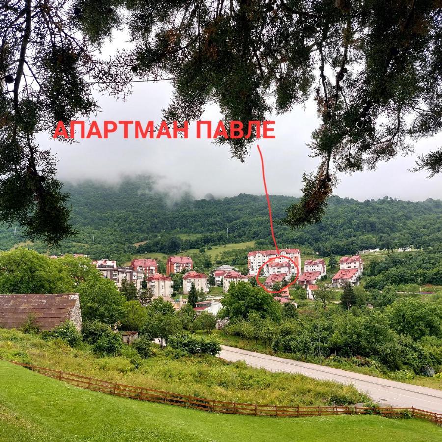 Apartman Pavle Plužine Exteriör bild