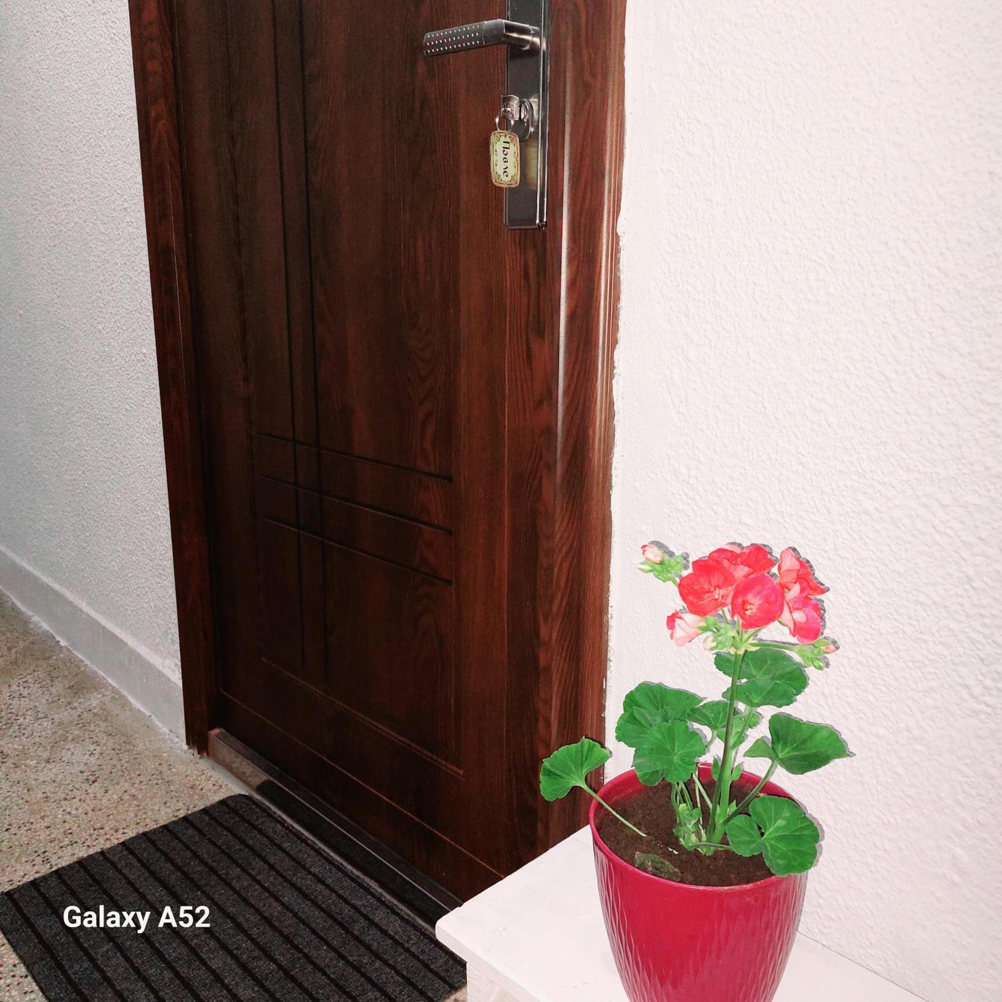 Apartman Pavle Plužine Exteriör bild