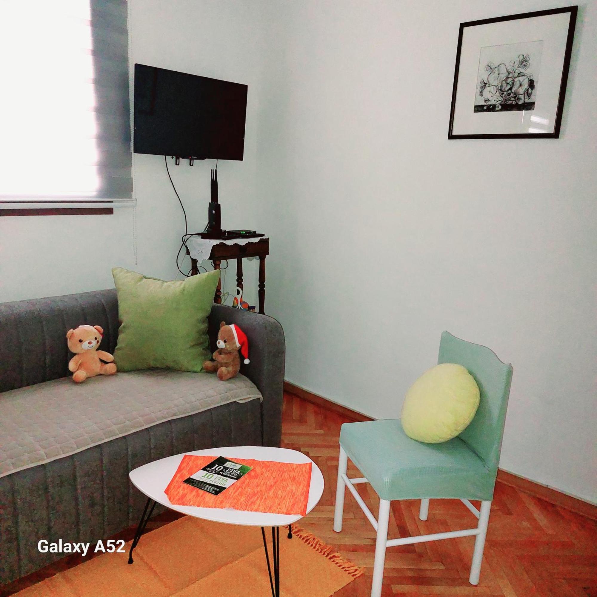 Apartman Pavle Plužine Exteriör bild