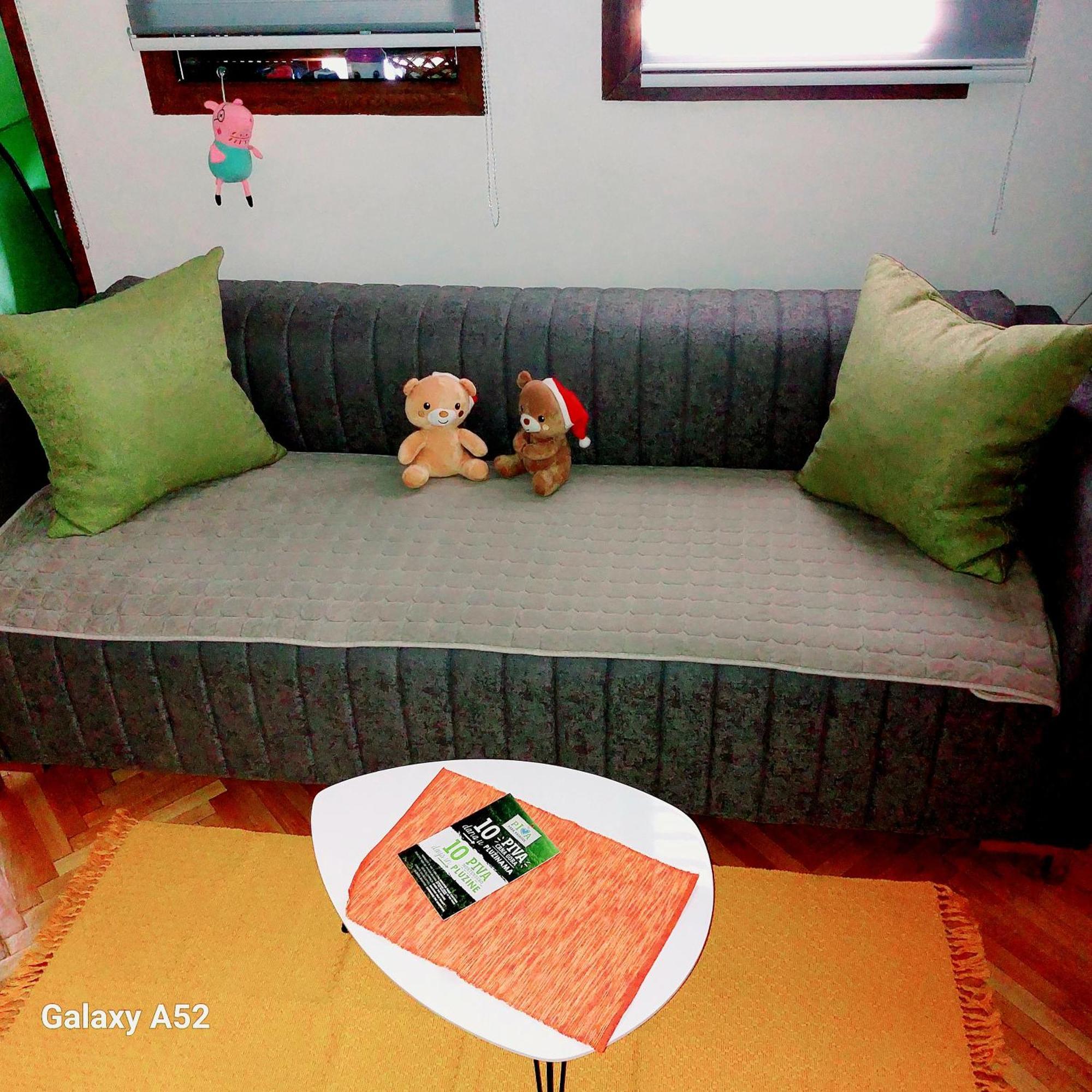 Apartman Pavle Plužine Exteriör bild